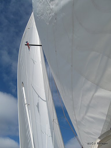Sail on sailboat contender 3
