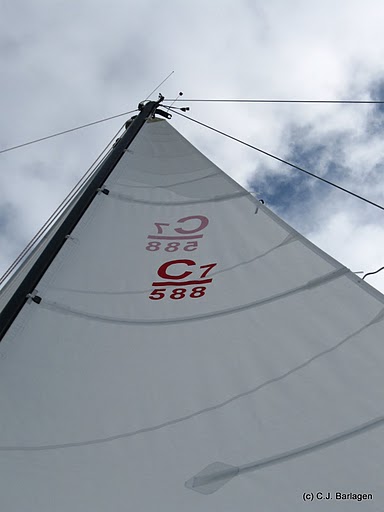 Sail on sailboat contender 2