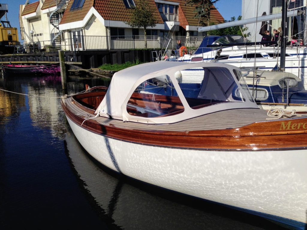 Tube hooded sloop in the water