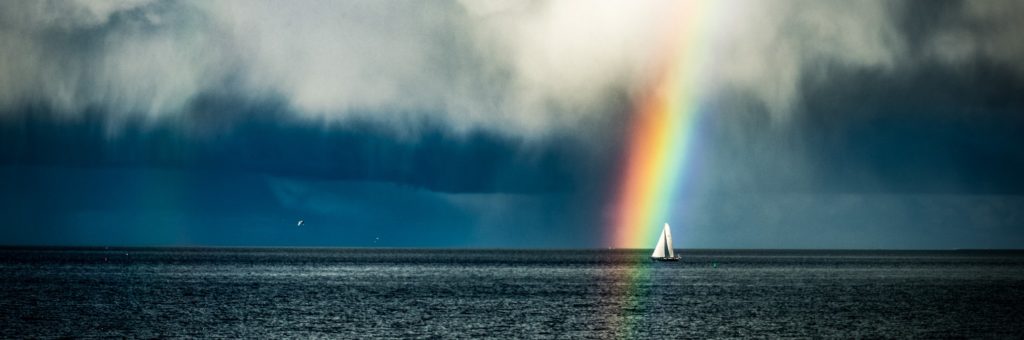 Rainbow 1 1024x340