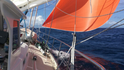 20210310 Lr Img 20210310 10003256